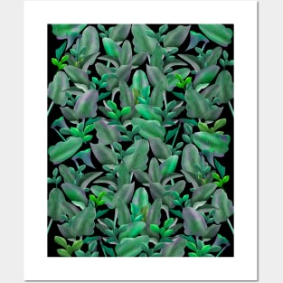 Tropical plants pattern Posters and Art